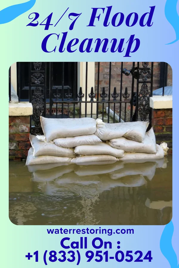 24/7 Flood Cleanup in Wenonah, IL