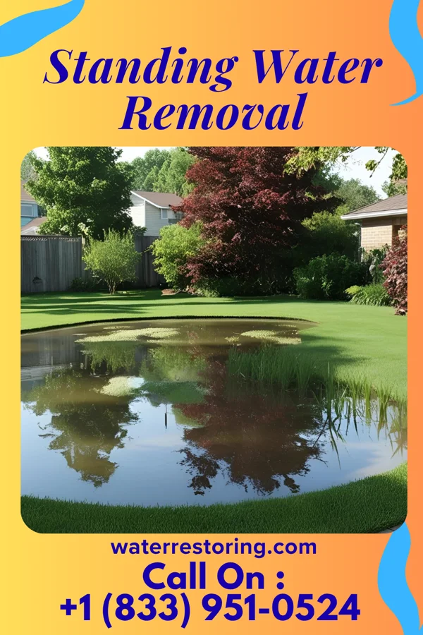 Standing Water Removal in Wenonah, IL